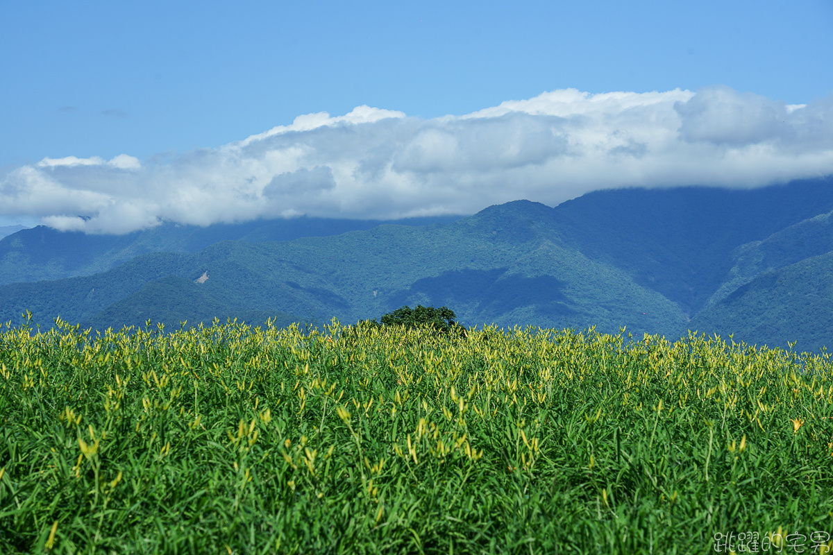 [花蓮景點] 六十石山我獨享! 登高望遠 一次看盡花東縱谷山清水秀美景 沒金針花都美到不行的無人秘境