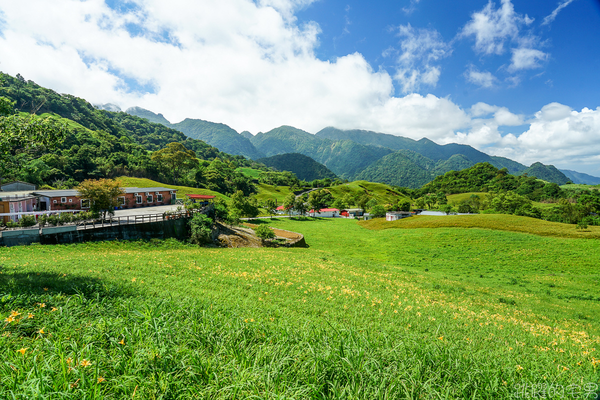 [花蓮景點] 六十石山我獨享! 登高望遠 一次看盡花東縱谷山清水秀美景 沒金針花都美到不行的無人秘境