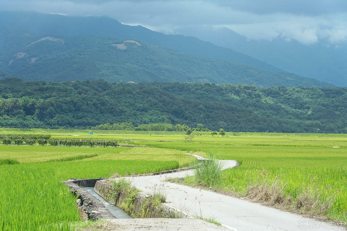 [花蓮旅遊推薦] 瑞穗玉里最美風景 花蓮193縣道景點  微微涼風走進清新稻海 松浦天堂路