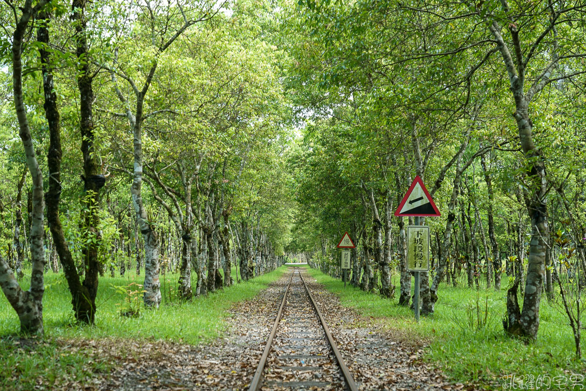 [花蓮瑞穗旅遊]富興森林公園 搭乘富興小火車遊憩森林與鳳梨田之間  整顆鳳梨刨冰好吃又有特色!