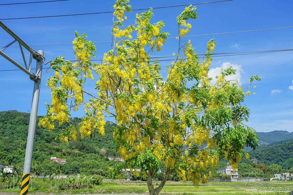 [花蓮景點]東里鐵馬驛站- 稻海不只是稻海 藝術在田上也能看到 優席夫彩繪稻田  193線道紅色鳳凰花 紅色阿勃勒 部落皇后咖啡廳 花蓮行程推薦