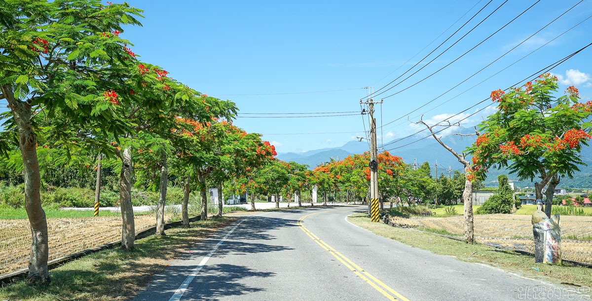 [花蓮旅遊] 瑞穗玉里這樣玩  193線絕美阿勃勒 鳳凰花 東里鐵馬驛站 優席夫彩繪稻田   連玉里人都買不到的秒殺玉里名產 高質感山灣水月民宿 花蓮行程推薦