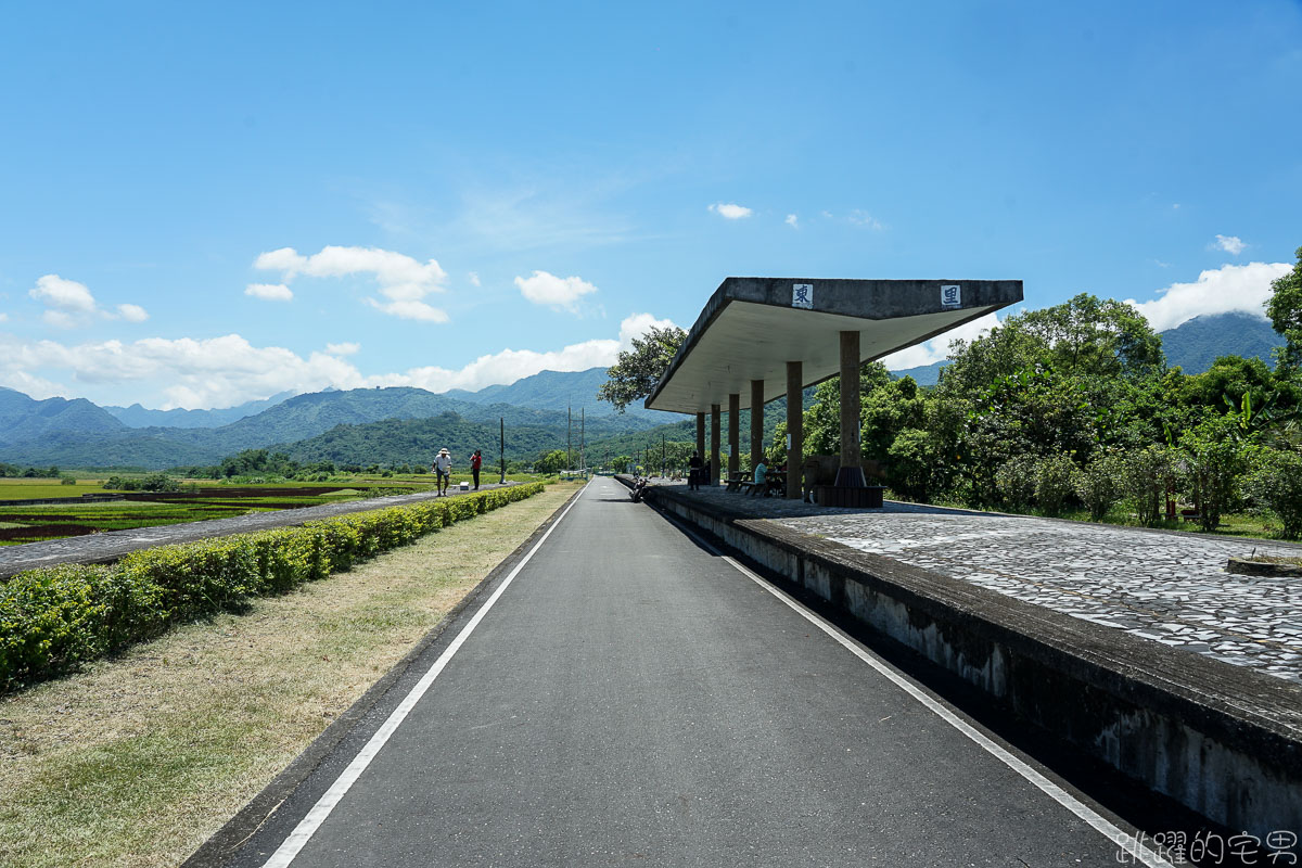 [花蓮景點]東里鐵馬驛站- 稻海不只是稻海 藝術在田上也能看到 優席夫彩繪稻田  193線道紅色鳳凰花 紅色阿勃勒 部落皇后咖啡廳 花蓮行程推薦