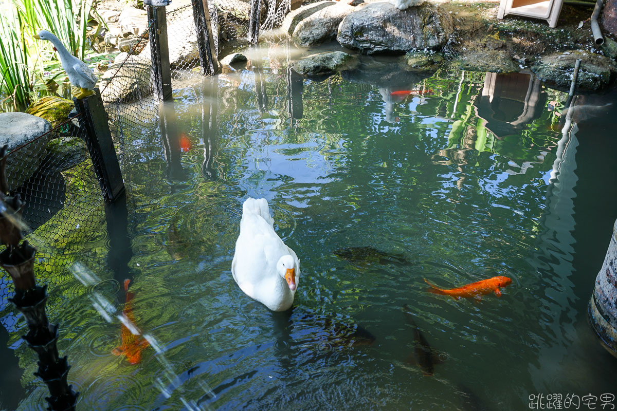 花蓮莫內花園咖啡農莊- 鯉魚潭湖光山色美景映入眼簾 呼吸新鮮空氣放鬆身心  提供咖啡下午茶 品嘗自家烘焙咖啡 鯉魚潭民宿推薦    花蓮民宿 壽豐民宿