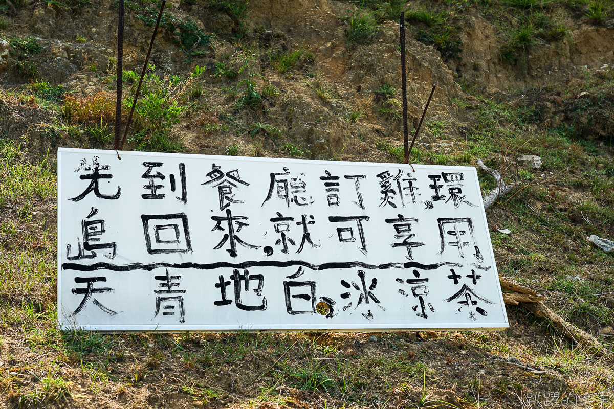 台灣也有奈良鹿  給吃就過來  大坵島百隻野生梅花鹿叢林漫步 蜈蚣雞是什麼!? 馬祖北竿一日行程推薦 淡菜 魚麵 馬祖海鮮必吃