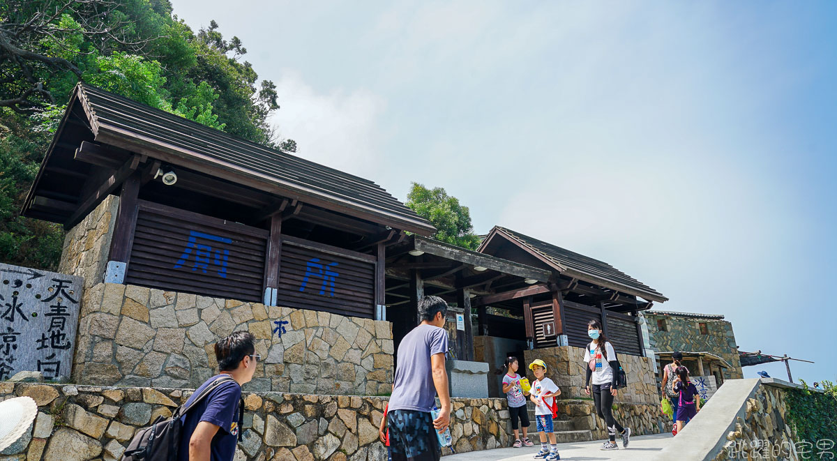 台灣也有奈良鹿  給吃就過來  大坵島百隻野生梅花鹿叢林漫步 蜈蚣雞是什麼!? 馬祖北竿一日行程推薦 淡菜 魚麵 馬祖海鮮必吃