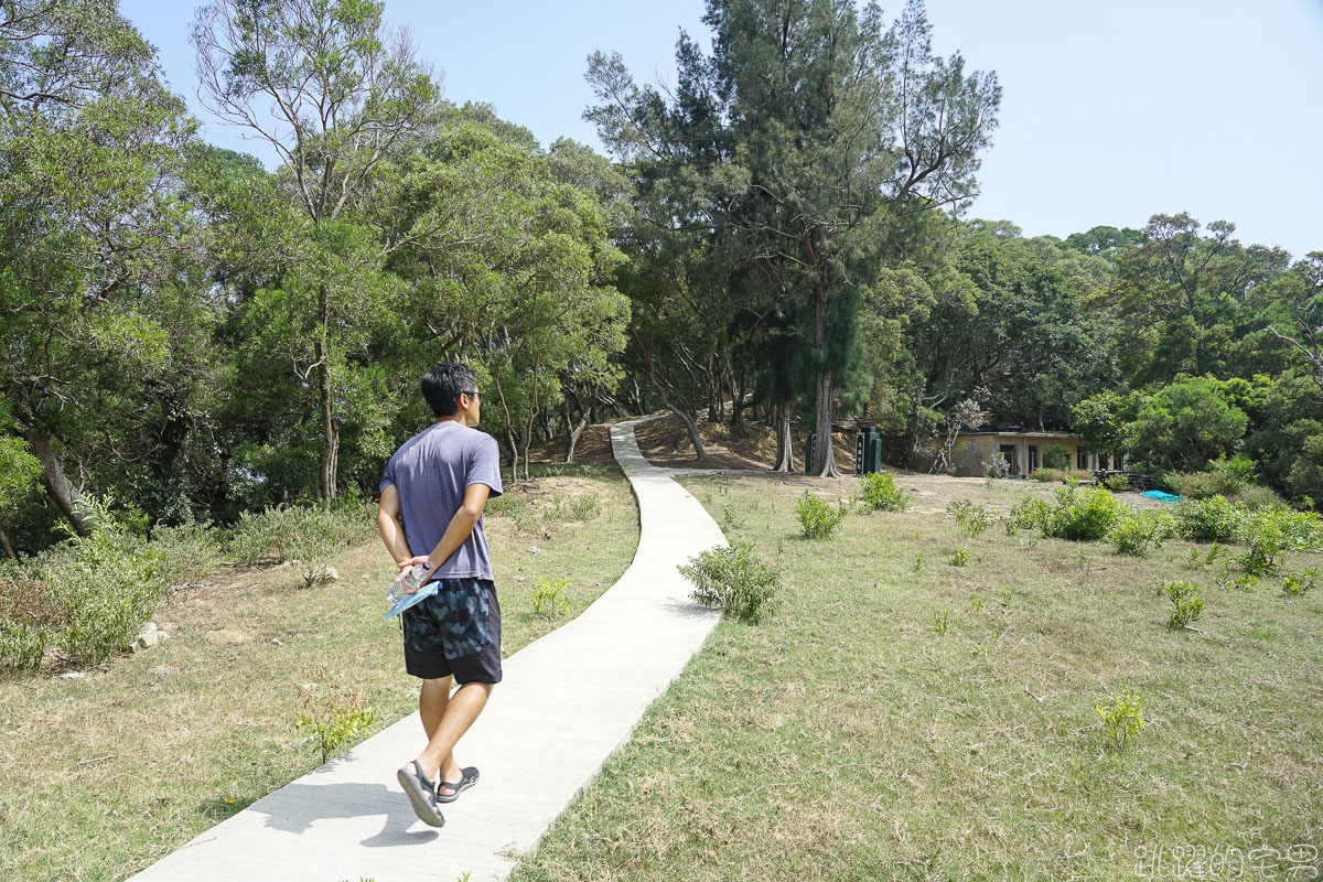 台灣也有奈良鹿  給吃就過來  大坵島百隻野生梅花鹿叢林漫步 蜈蚣雞是什麼!? 馬祖北竿一日行程推薦 淡菜 魚麵 馬祖海鮮必吃