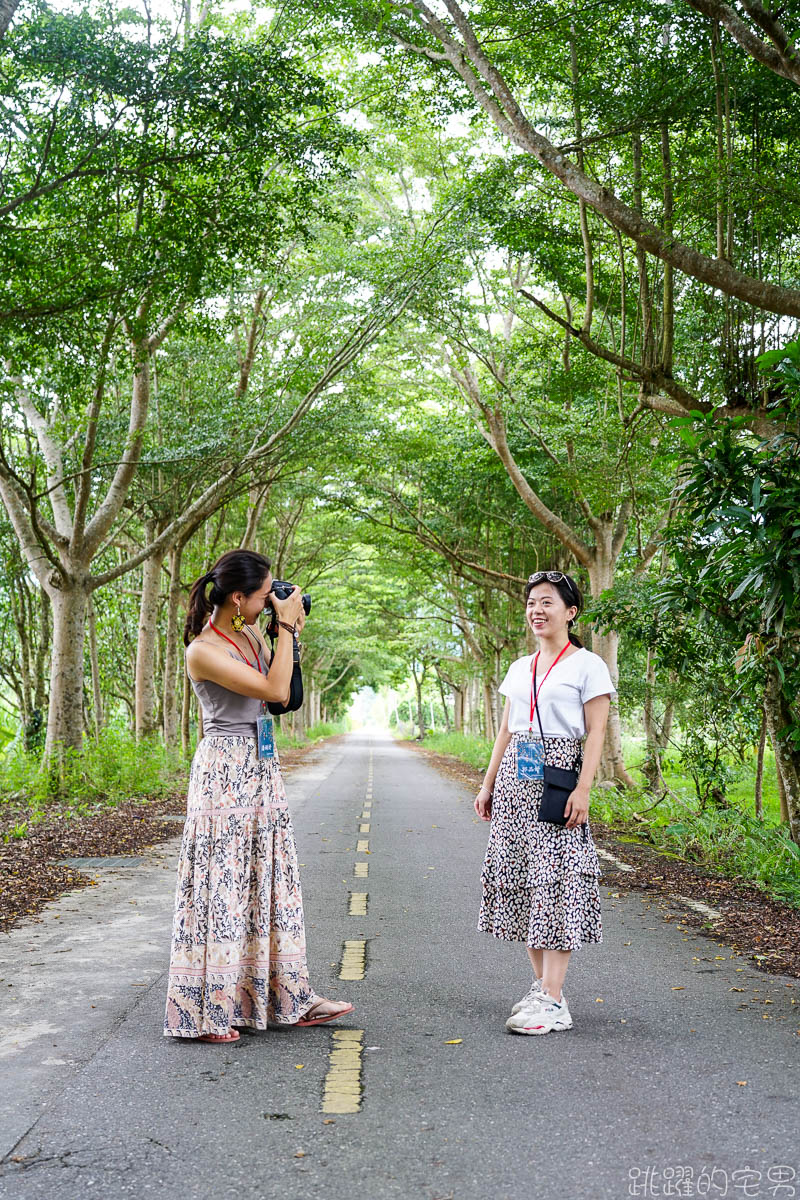 遇見kohkoh瑞穗部落小旅行 瑞穗旅遊這樣玩 單車漫遊IG秘境綠色隧道絕美拍不停  自己作老奶奶檸檬蛋糕 彌勒有機果園DIY   花蓮旅遊 瑞穗旅遊 花蓮2日遊行程推薦