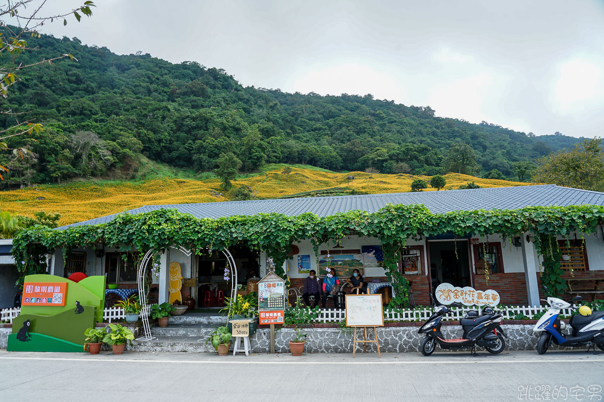 2020金針花季 赤科山- 金黃色金針花海如地毯鋪滿整大地 提供赤科山即時影像直播 小瑞士農場 林家園 汪家古厝金針花況絕佳  赤柯山 花蓮景點推薦 花蓮金針花海2020