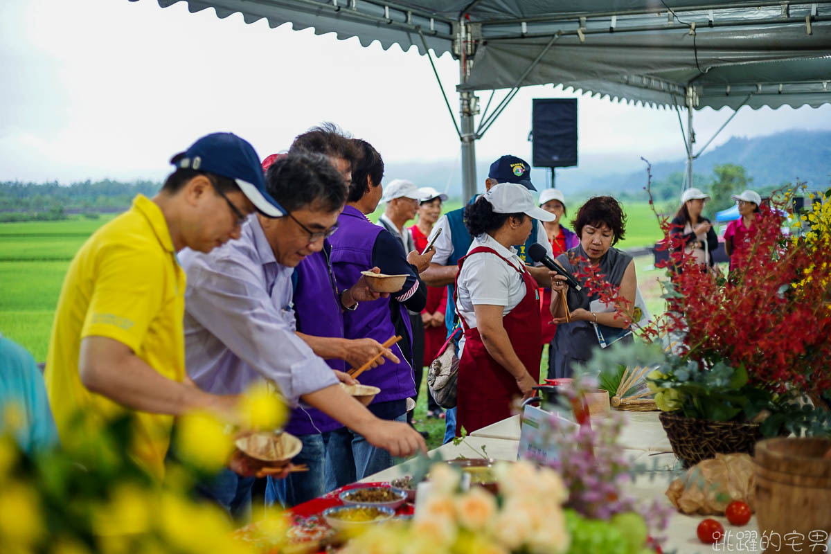 [花蓮旅遊] 小鎮漫遊食在有趣-富里美食 六十石山美食令人食指大動  富里漫遊山城小鎮 東里驛站優席夫彩繪稻海2.0版登場  大地時裝秀 富里景點