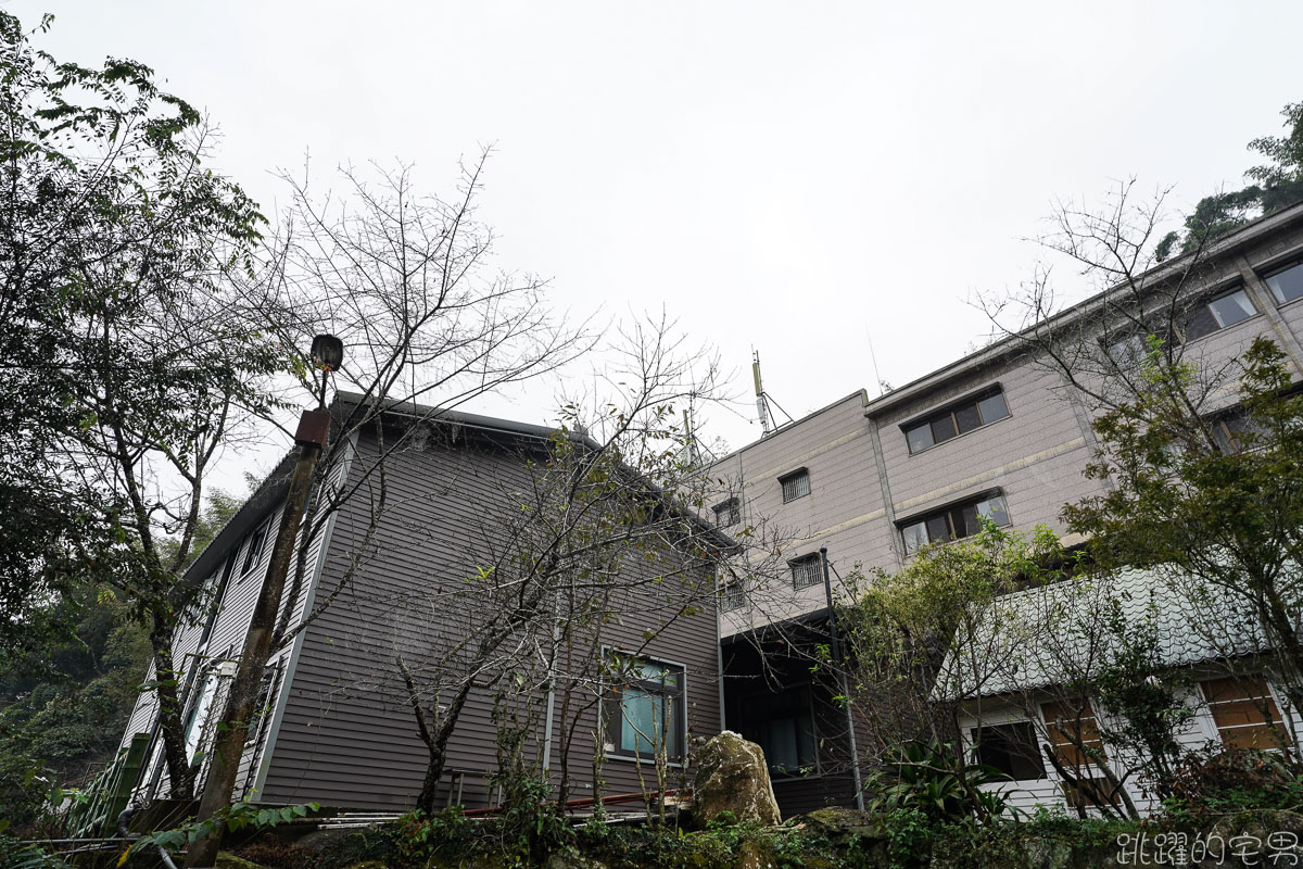 雲林古坑二日遊行程推薦 雲嶺之丘俯瞰嘉南平原 愛上了杉林步道的領悟 五元二角宛如走進京都嵐山竹林小徑 品嘗阿嬤的私房菜 東碧山莊住宿 雲林古坑懶人包