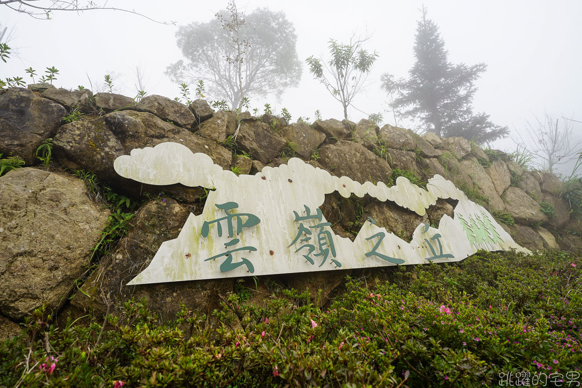 雲林古坑二日遊行程推薦 雲嶺之丘俯瞰嘉南平原 愛上了杉林步道的領悟 五元二角宛如走進京都嵐山竹林小徑 品嘗阿嬤的私房菜 東碧山莊住宿 雲林古坑懶人包