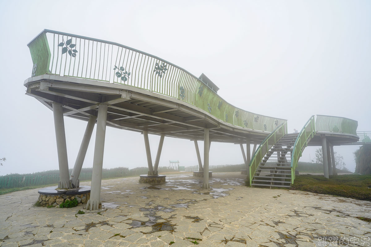 雲林古坑二日遊行程推薦 雲嶺之丘俯瞰嘉南平原 愛上了杉林步道的領悟 五元二角宛如走進京都嵐山竹林小徑 品嘗阿嬤的私房菜 東碧山莊住宿 雲林古坑懶人包