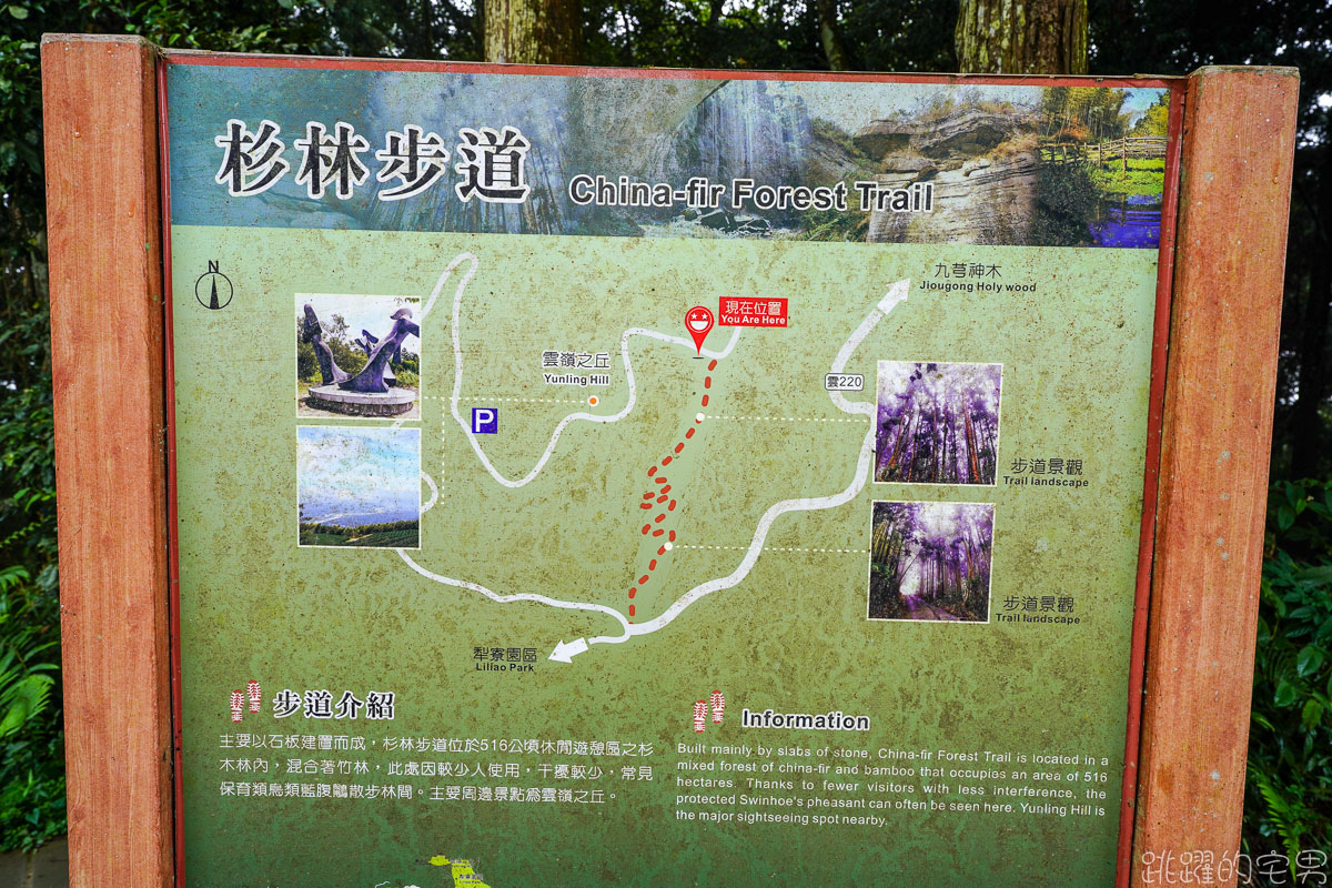 雲林古坑二日遊行程推薦 雲嶺之丘俯瞰嘉南平原 愛上了杉林步道的領悟 五元二角宛如走進京都嵐山竹林小徑 品嘗阿嬤的私房菜 東碧山莊住宿 雲林古坑懶人包