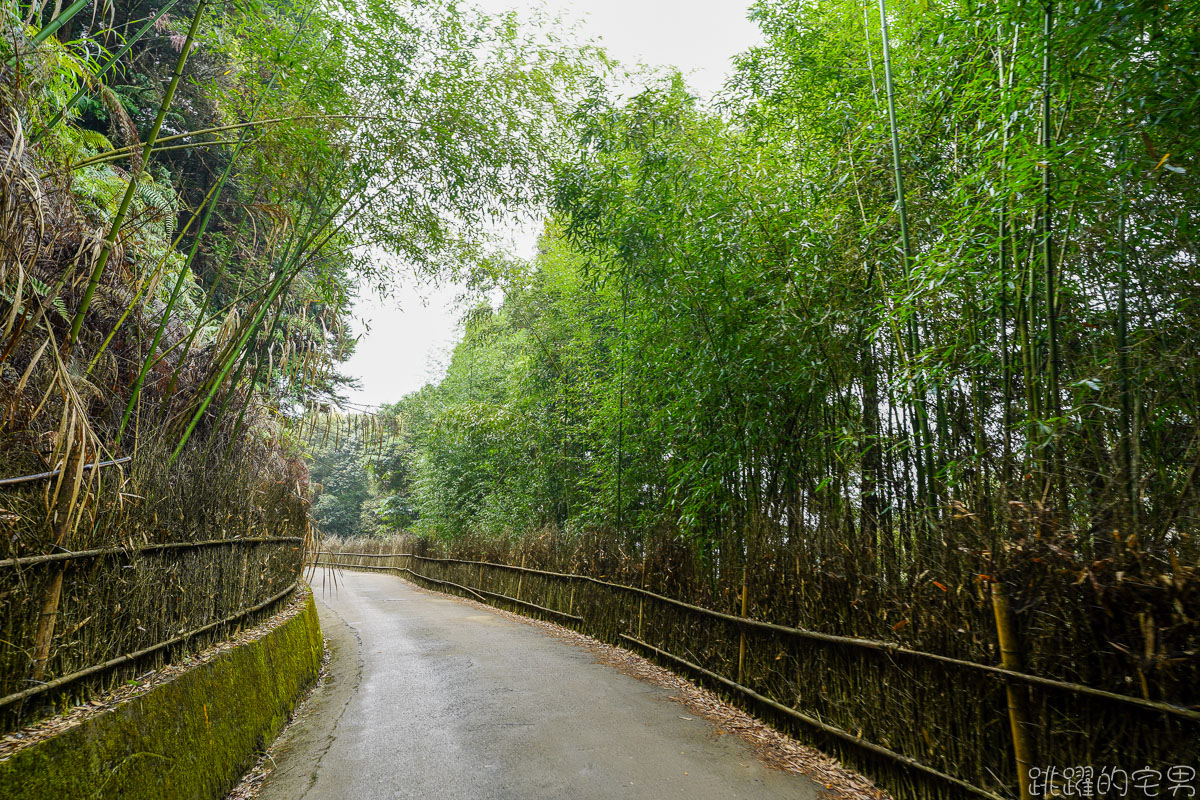 雲林古坑二日遊行程推薦 雲嶺之丘俯瞰嘉南平原 愛上了杉林步道的領悟 五元二角宛如走進京都嵐山竹林小徑 品嘗阿嬤的私房菜 東碧山莊住宿 雲林古坑懶人包