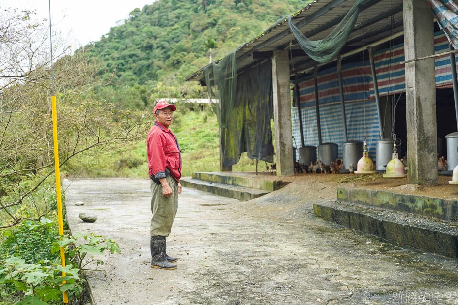 花蓮玉米雞 放山雞 你聽過縱谷跑山雞嗎? 農委會認證 最新花蓮品牌雞 16週自然野放 無毒環境 穀物牧草粗飼 山上畜牧場