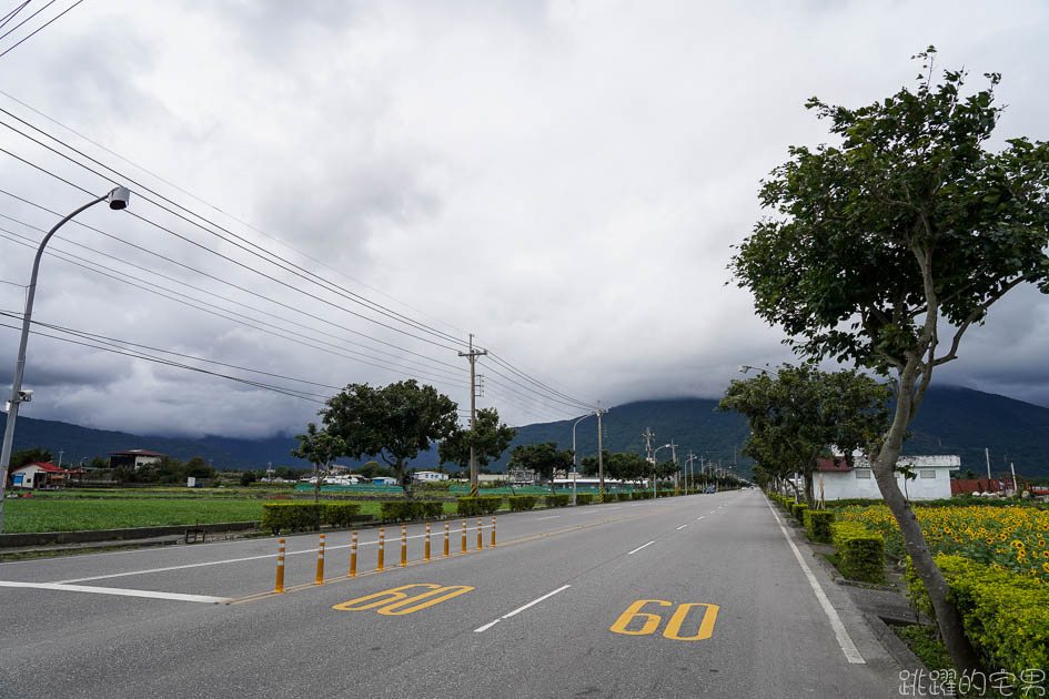 花蓮路邊就有向日葵花田  美美太陽花超級好拍 花蓮花海 附上Google地圖