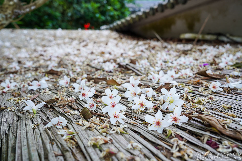 [苗栗景點]卓也小屋度假園區-2021桐花螢火蟲季 油桐花鋪滿地面宛如四月雪 卓也小屋一泊二食 下午茶 晚餐超豐富 薄荷烤雞 大碗公彩色粉粿冰必吃 卓也小屋導覽地圖  苗栗三義景點  卓也書園子 景觀餐廳 卓也藍染DIY