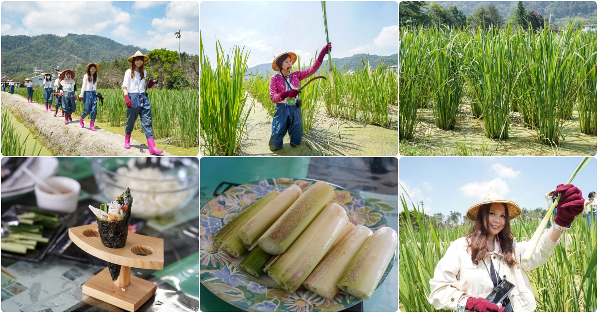 南投這樣玩! 南投27個旅遊景點總整理 清境民宿一泊二食還上合歡山看星空   歐洲城堡吃世界冠軍巧克力 中興新村一日遊行程推薦 南投3天2夜行程 南投景點懶人包 中興新村懶人包