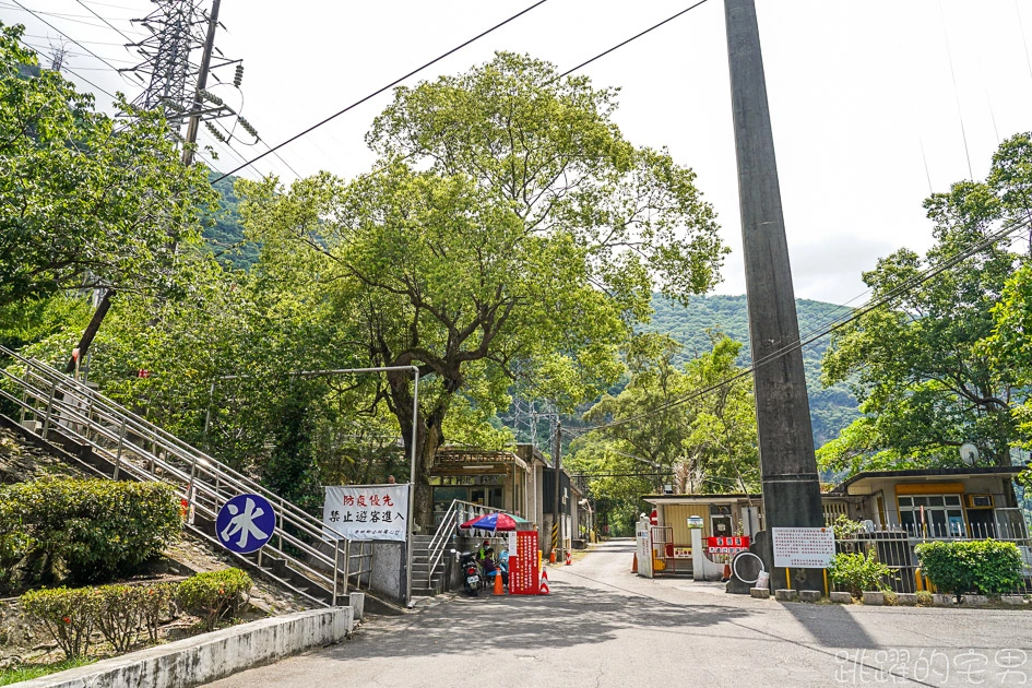 慕谷慕魚龍澗冰廠-吃了立馬變鐵粉! 龍澗冰棒好吃又便宜，大推芋頭冰棒、綠豆冰棒  洛神花冰棒，花蓮宅配美食 慕谷慕魚龍澗冰品  龍澗冰棒哪裡買 花蓮冰店 花蓮吃冰 秀林美食