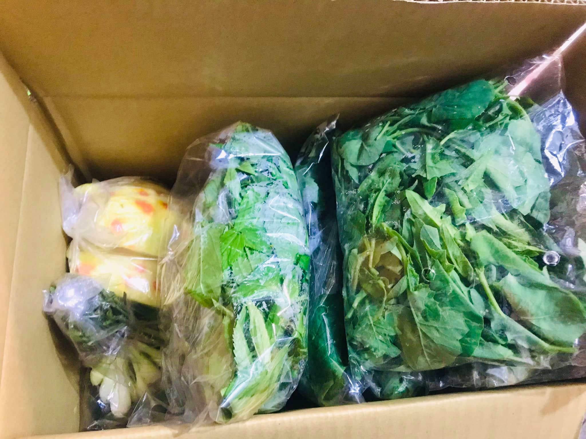 全台都有蔬菜箱宅配  吃點不一樣的 直送花蓮原住民部落野菜箱  全年供應80種野菜  原住民美食野菜宅配 花蓮部分區域免運費 原味直送-箱子裡的部落