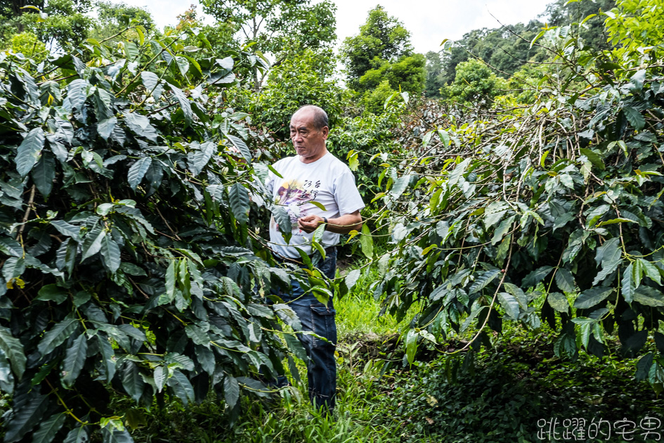 嘉義兩天一夜行程推薦 品嘗海拔1200公尺的阿里山咖啡 北緯23.5度的咖啡城市之旅  感受不一樣的山林之美 阿里山美食 原住民風味餐 嘉義咖啡廳推薦 嘉義旅遊 嘉義美食