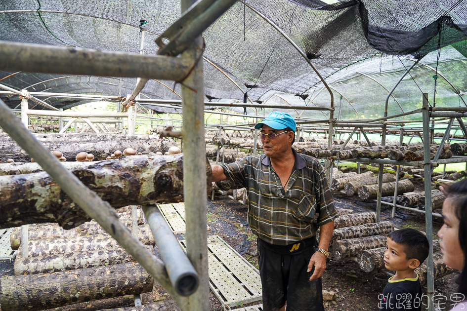 新竹旅遊這樣玩  張學良故居還有免費溫泉 品嘗原住民風味餐 山林中在三毛夢屋喝咖啡下午茶 五峰鄉段木香菇有夠厲害 居然是柴燒@跳躍的宅男