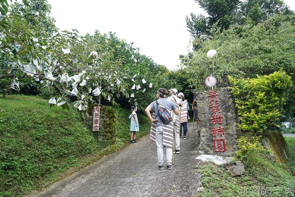 新竹旅遊這樣玩  張學良故居還有免費溫泉 品嘗原住民風味餐 山林中在三毛夢屋喝咖啡下午茶 五峰鄉段木香菇有夠厲害 居然是柴燒@跳躍的宅男