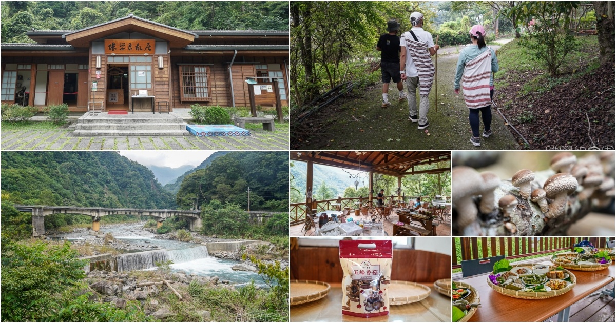 新竹旅遊這樣玩  張學良故居還有免費溫泉 品嘗原住民風味餐 山林中在三毛夢屋喝咖啡下午茶 五峰鄉段木香菇有夠厲害 居然是柴燒@跳躍的宅男 @跳躍的宅男