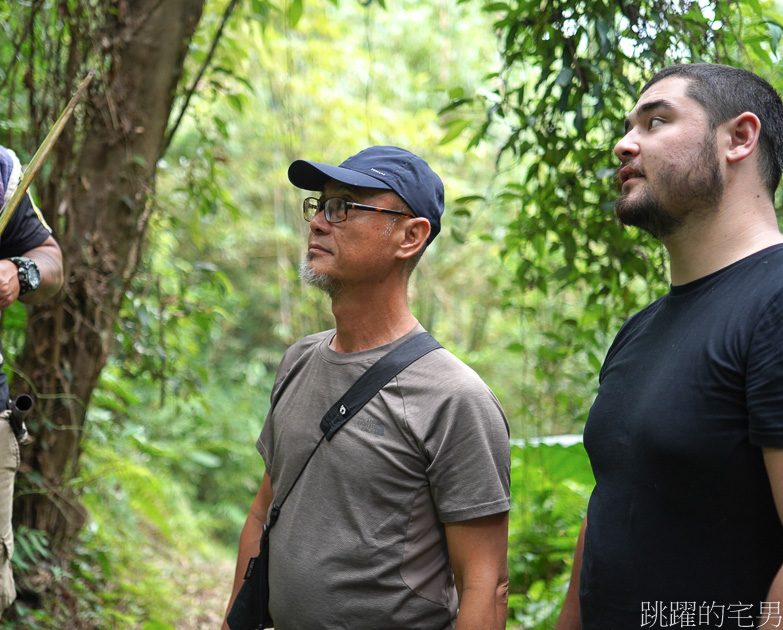 [台東行程推薦]達魯瑪克部落-台東可以這樣玩! 來場達魯瑪克小旅行，樹也能做海苔? 好吃又特別的魯凱族風味餐，走入山林享受芬多精，台東半日遊程不但洗滌心靈還充實味蕾 、魯凱族風味餐、原住民文化旅遊、台東旅遊