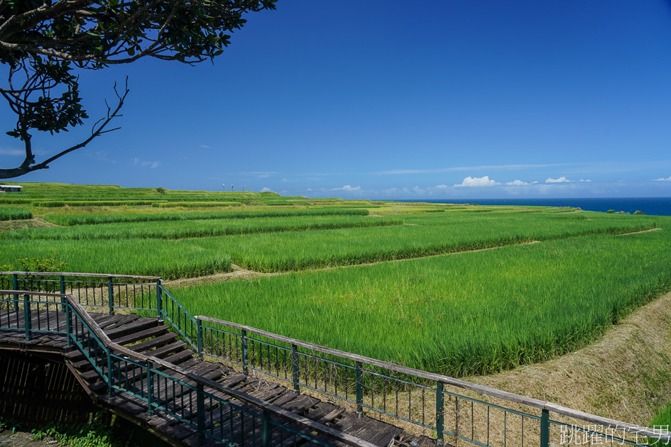 KKday花蓮一日遊行程推薦 「花蓮市區出發接送」 眺望太平洋療癒海景、牛山呼庭・米粑流海稻田・月洞奇觀・緩慢石梯坪  豐濱景點懶人包