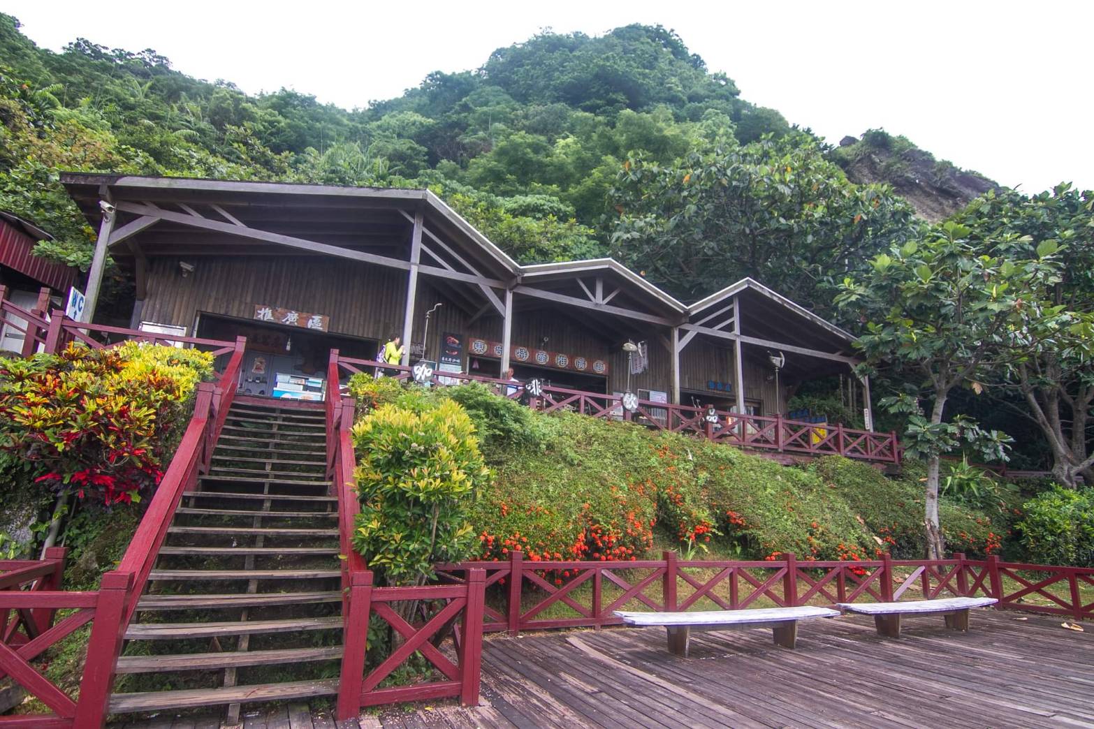 KKday花蓮一日遊行程推薦 「花蓮市區出發接送」 眺望太平洋療癒海景、牛山呼庭・米粑流海稻田・月洞奇觀・緩慢石梯坪  豐濱景點懶人包