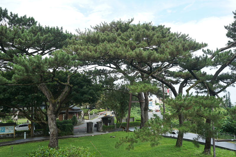 [花蓮景點推薦]松園別館不要只來逛逛拍松樹，IG網美都是這樣拍，馬上讓你美到不想離開，vivo X70 Pro+拍照