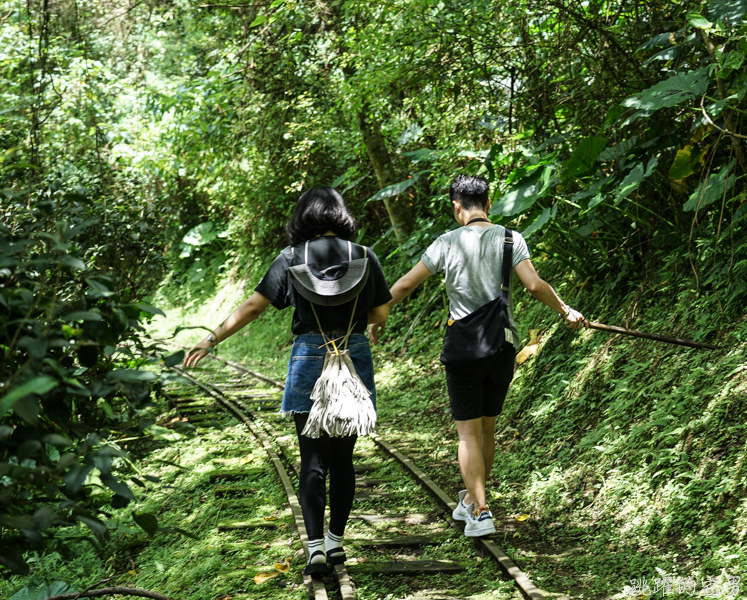 [花蓮旅遊景點推薦]充滿芬多精的森林步道小火車 親子出遊好去處  花蓮壽豐景點推薦-池南國家森林遊樂區 @跳躍的宅男