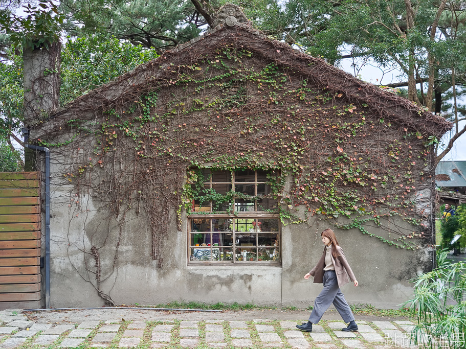 [花蓮景點推薦]松園別館不要只來逛逛拍松樹，IG網美都是這樣拍，馬上讓你美到不想離開，vivo X70 Pro+拍照