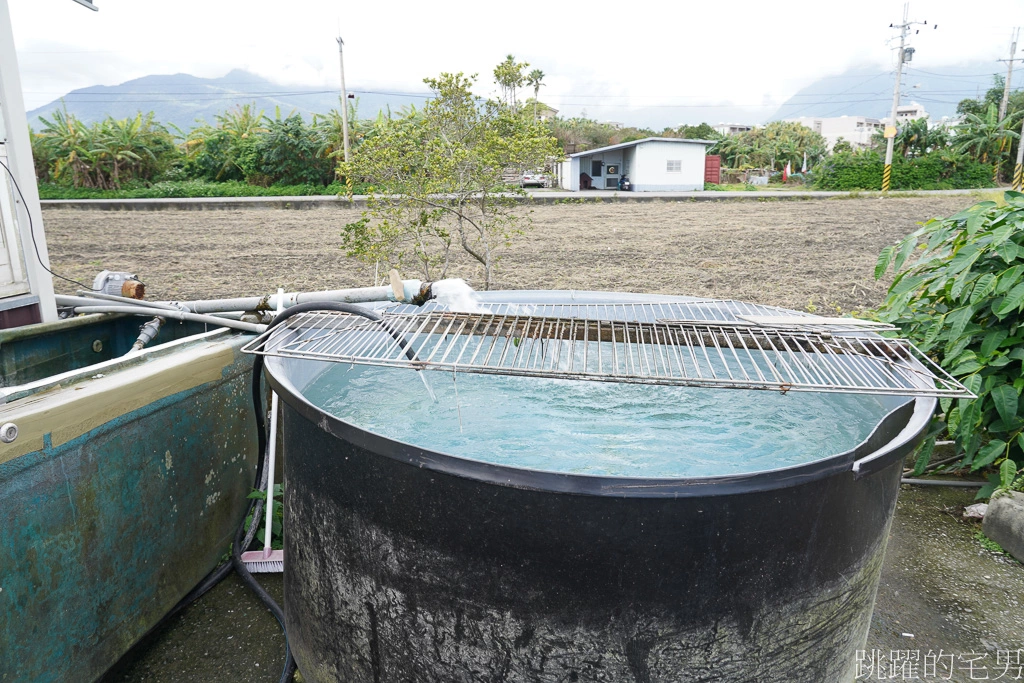 [花蓮吉安美食]阿美煮- 桶仔雞鹹香又多汁，現烤活魚毫無土味又水嫩，入口還有特別香氣，絕對是花蓮烤魚推薦! 花蓮桶仔雞推薦