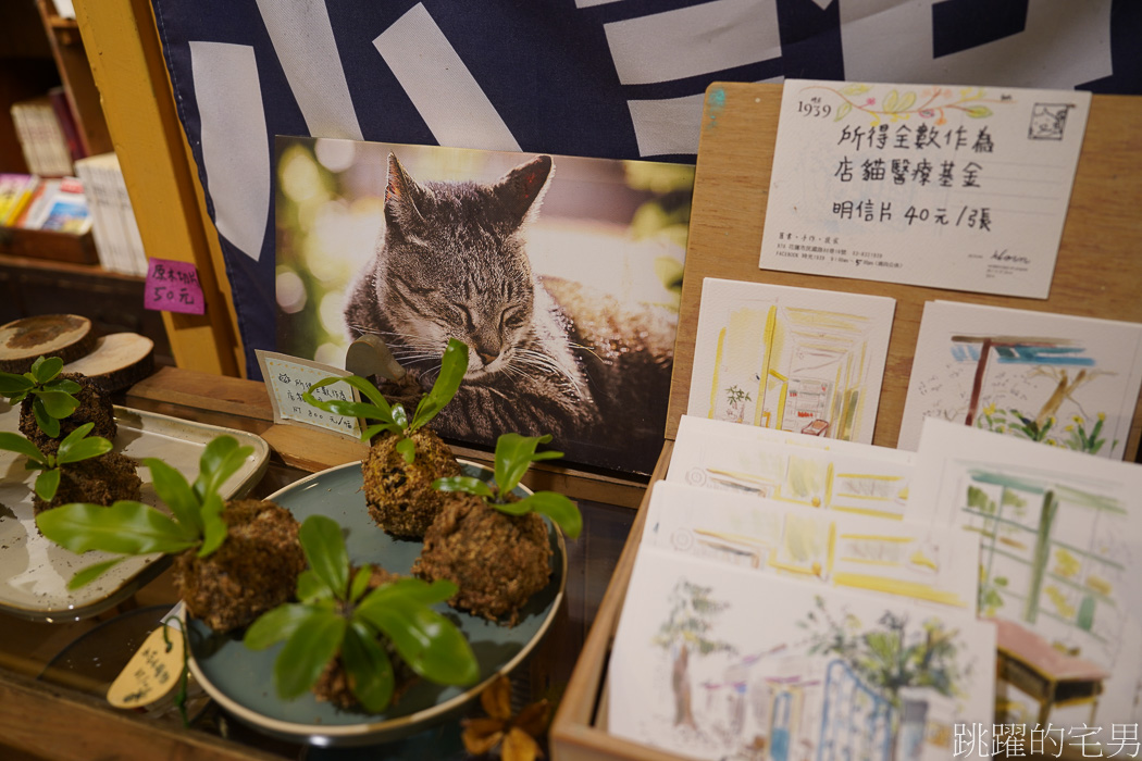 [花蓮早午餐]時光1939-隱身巷內的日式老木屋，空間靜謐而舒服，花蓮素食、花蓮有貓咖啡廳，花蓮美食