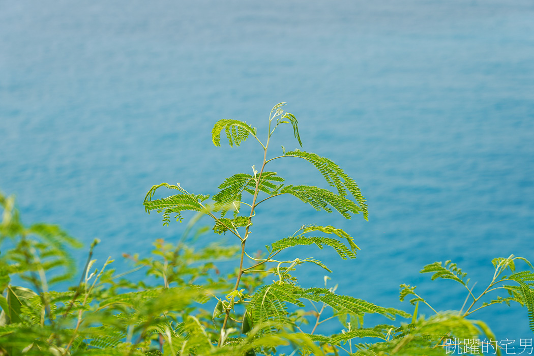 [秀林景點]清水斷崖 -蘇花改景點推薦，只要5分鐘，湛藍絕美海景映入眼簾，花蓮IG景點推薦，太魯閣國家公園，匯德景觀步道