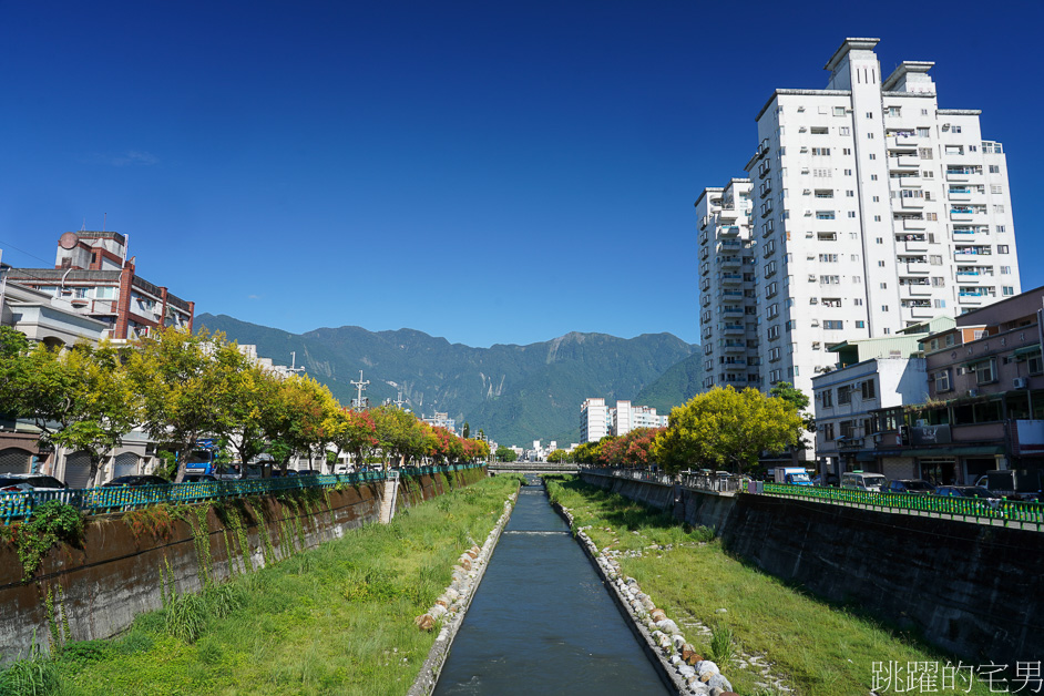 [吉安景點]七腳川-花蓮日常的幸福美景，延綿數百公尺的台灣櫟樹花海，每年9-10月花蓮秋季美景，花蓮花季，花蓮景點