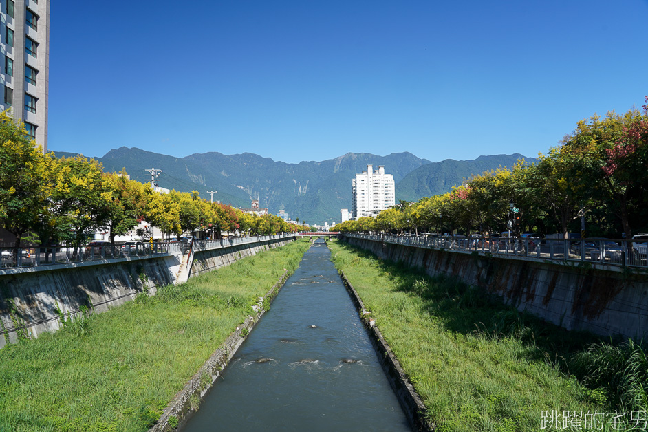 [吉安景點]七腳川-花蓮日常的幸福美景，延綿數百公尺的台灣櫟樹花海，每年9-10月花蓮秋季美景，花蓮花季，花蓮景點