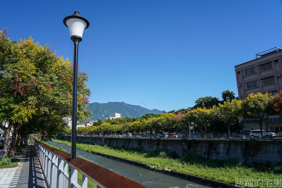 [吉安景點]七腳川-花蓮日常的幸福美景，延綿數百公尺的台灣櫟樹花海，每年9-10月花蓮秋季美景，花蓮花季，花蓮景點