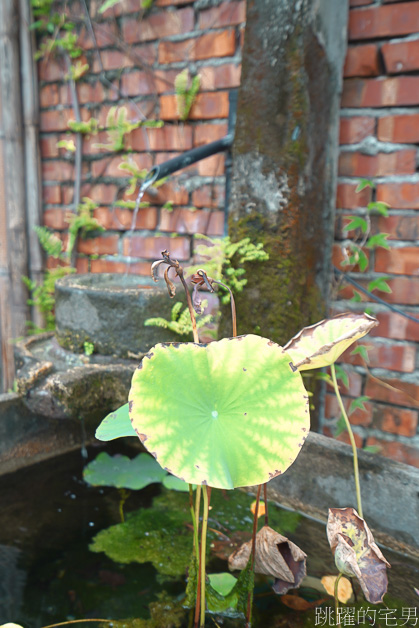 [花蓮甜點]80年靜謐日式老房賣和菓子「yutuzu」儀式感整個拉滿，簡直像在日本一樣