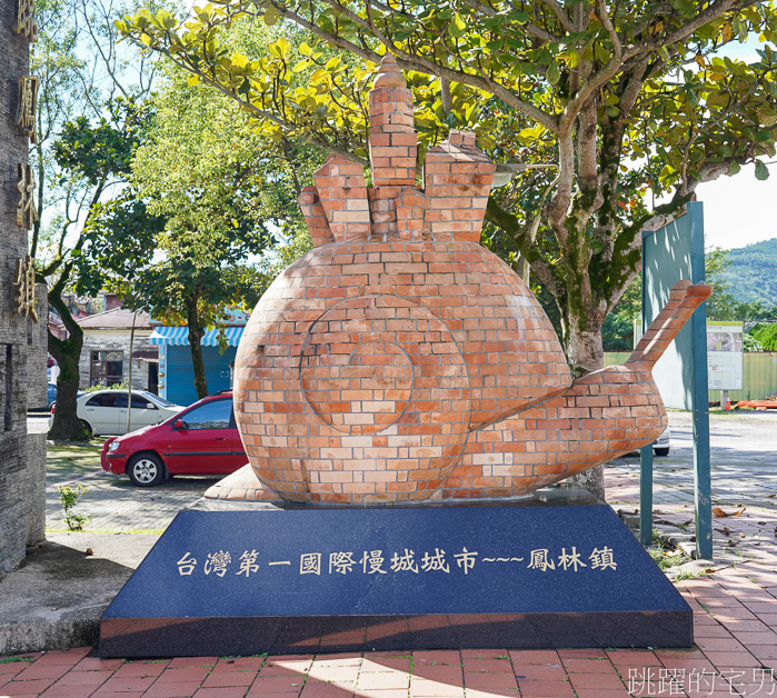 [台灣風景]行道樹也能很可愛「鳳林水母樹」綿延數百公尺簡直太療癒，而且數年如一日，花蓮景點，鳳林美食懶人包