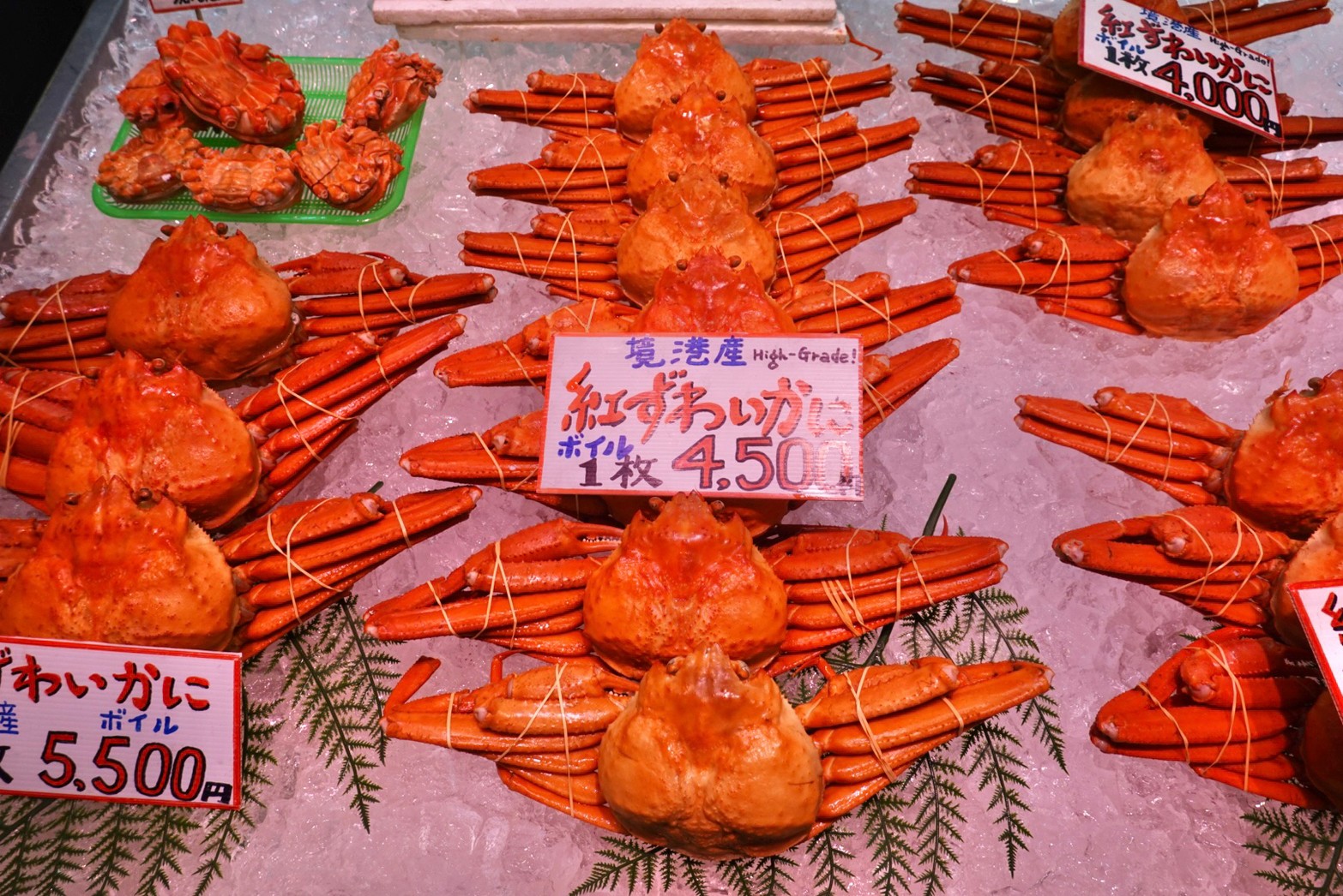 [鳥取美食] 鳥取螃蟹「捕獲量全國第一」海鮮市場爽吃螃蟹居然不用千元台幣! 握壽司、蝦子、螃蟹通通上! 境港⽔產直賣中⼼（境港⽔産物直売センター）