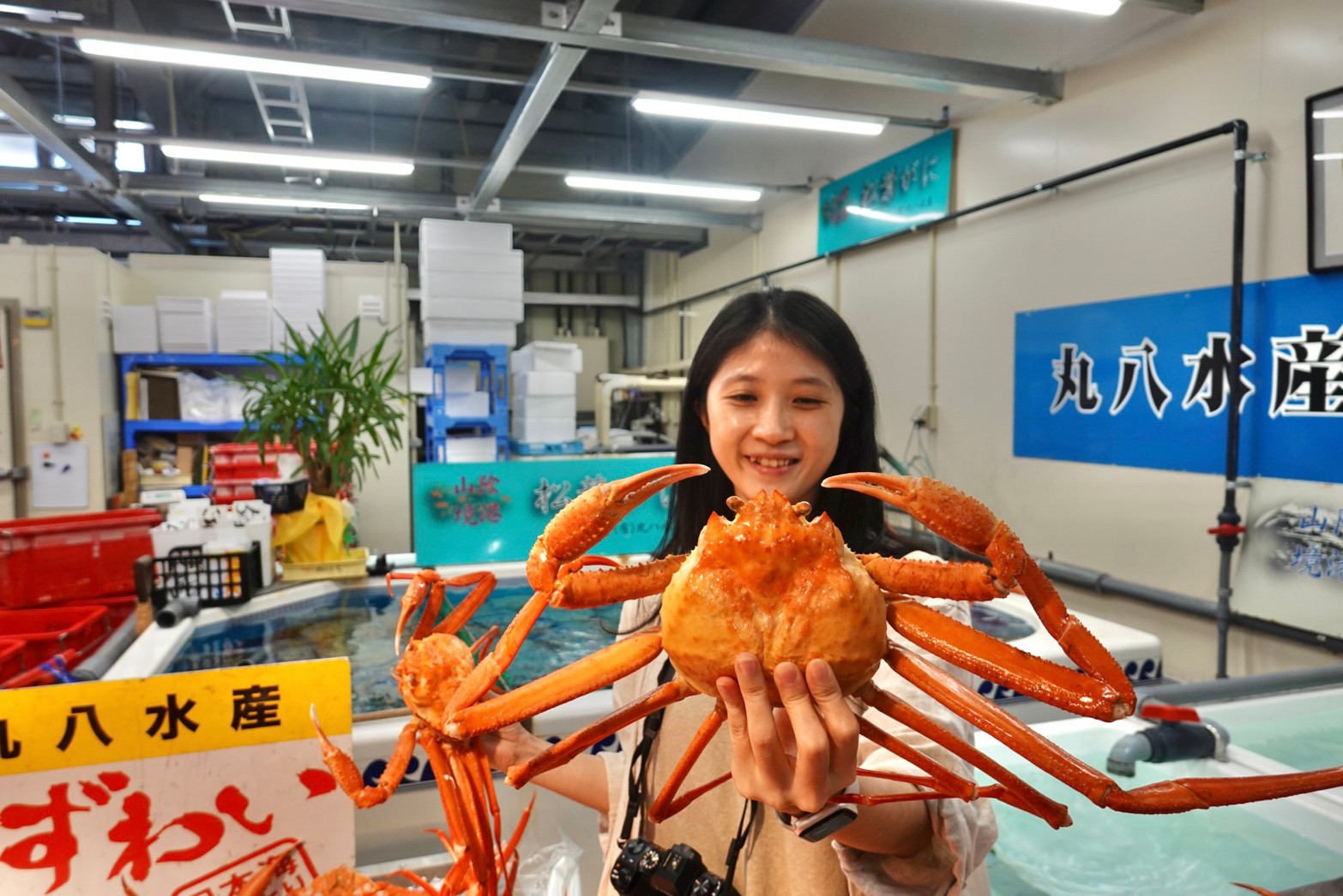 [鳥取美食] 鳥取螃蟹「捕獲量全國第一」海鮮市場爽吃螃蟹居然不用千元台幣! 握壽司、蝦子、螃蟹通通上! 境港⽔產直賣中⼼（境港⽔産物直売センター）