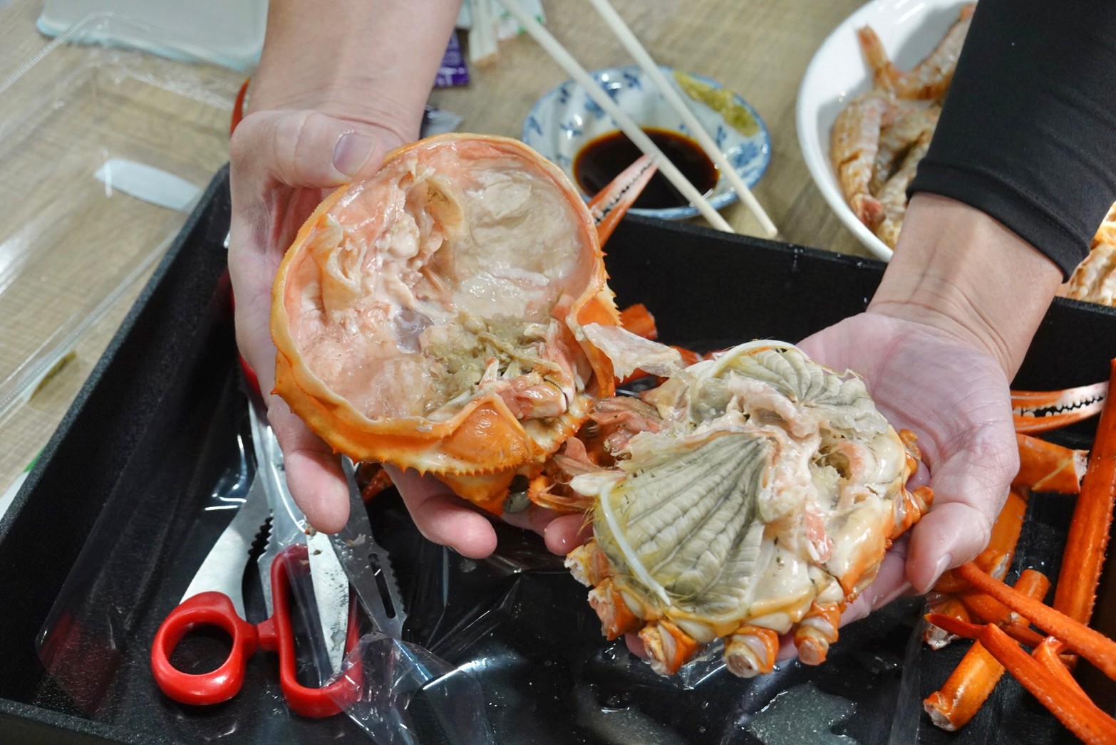 [鳥取美食] 鳥取螃蟹「捕獲量全國第一」海鮮市場爽吃螃蟹居然不用千元台幣! 握壽司、蝦子、螃蟹通通上! 境港⽔產直賣中⼼（境港⽔産物直売センター）