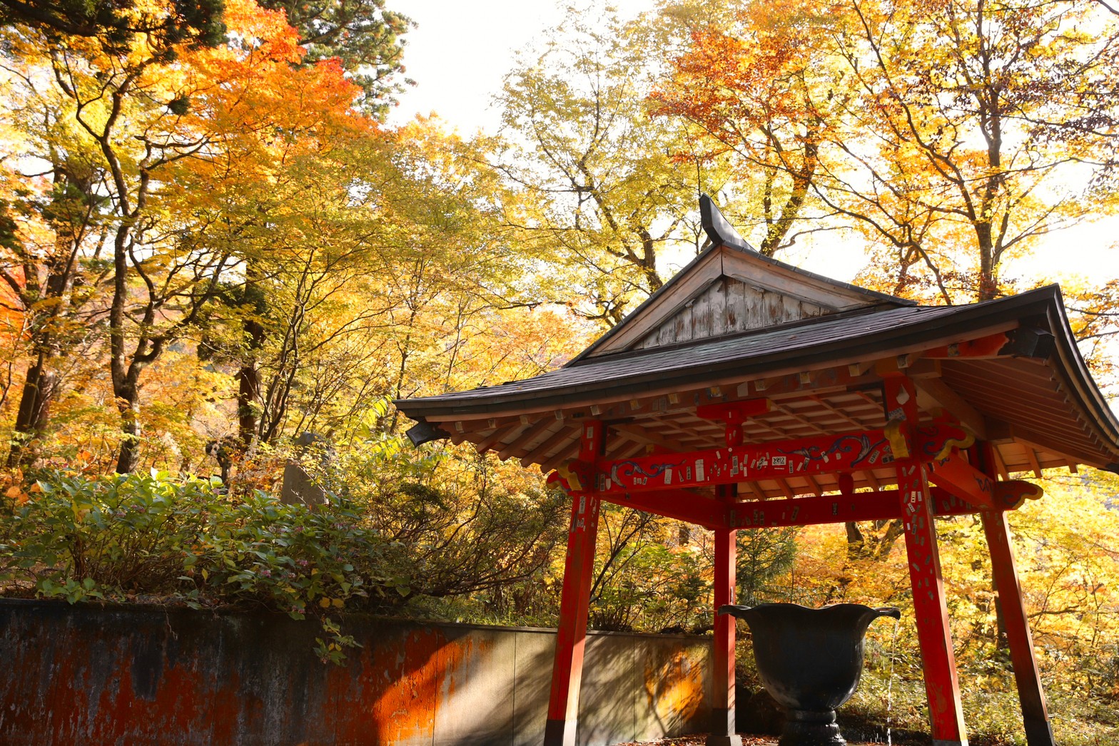 [鳥取景點]2022日本楓葉「大山寺」居然還有楓紅白雪絕佳美景! Google評價千則推薦，鳥取大山楓葉10月中至11月中最佳賞楓期，鳥取交通自駕租車