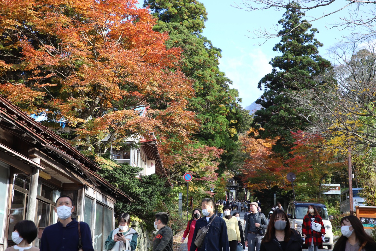 [鳥取景點]2022日本楓葉「大山寺」居然還有楓紅白雪絕佳美景! Google評價千則推薦，鳥取大山楓葉10月中至11月中最佳賞楓期，鳥取交通自駕租車