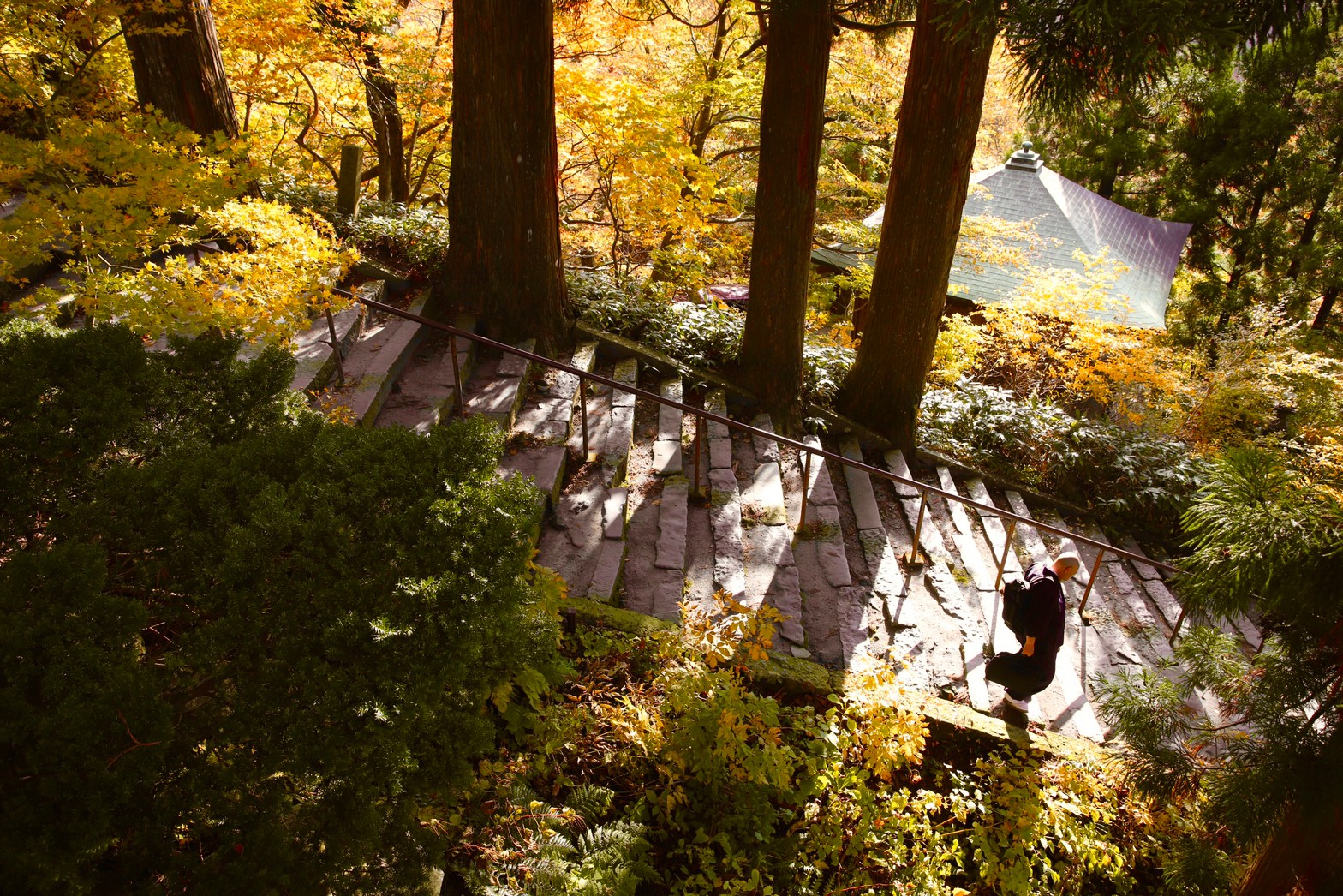 [鳥取景點]2022日本楓葉「大山寺」居然還有楓紅白雪絕佳美景! Google評價千則推薦，鳥取大山楓葉10月中至11月中最佳賞楓期，鳥取交通自駕租車