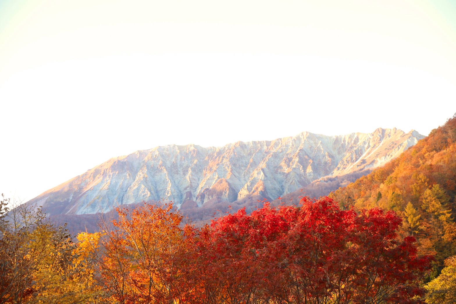 [鳥取景點]2022日本楓葉「大山寺」居然還有楓紅白雪絕佳美景! Google評價千則推薦，鳥取大山楓葉10月中至11月中最佳賞楓期，鳥取交通自駕租車